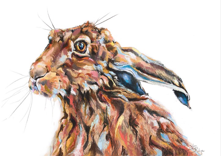 Pastel Hare Painting, Suffolk Hare,