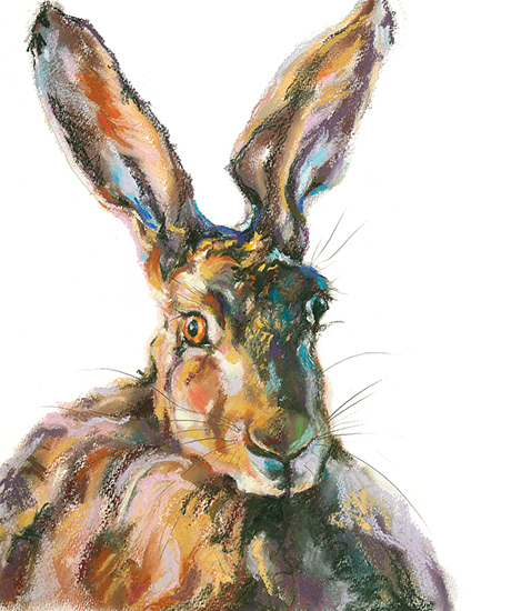 Contemporary pastel sketch brown hare portrait