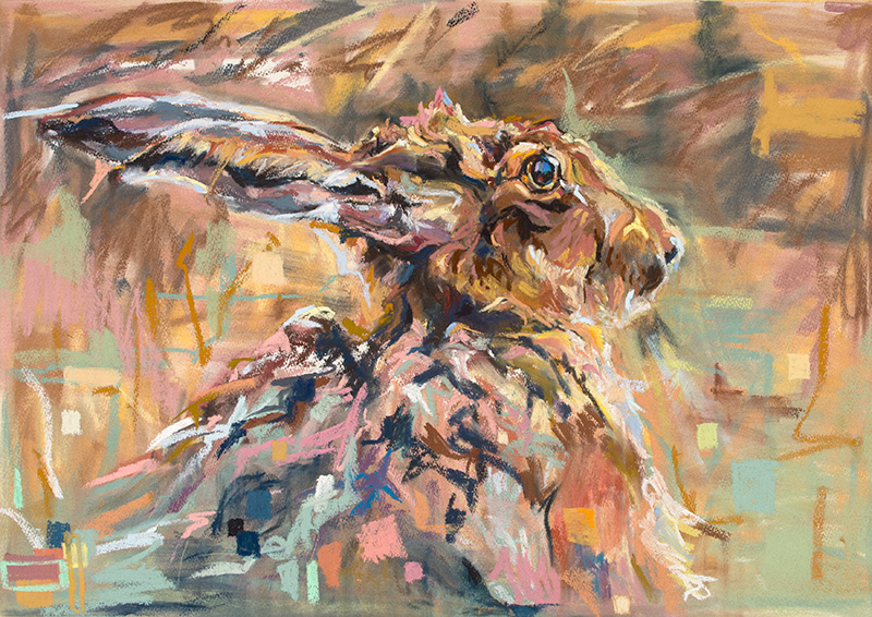 contemporary pastel drawing brown hare suffolk 